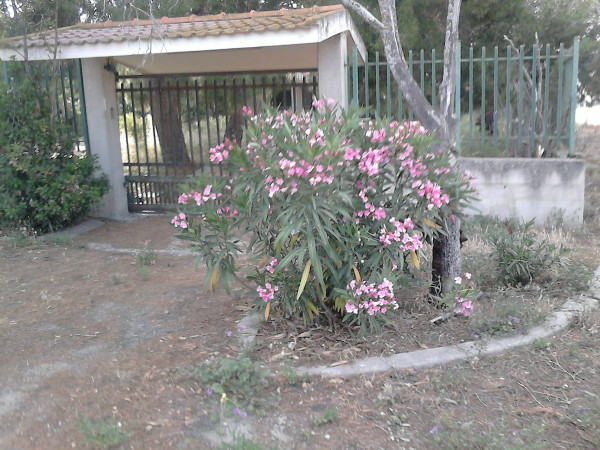 FOTO 14